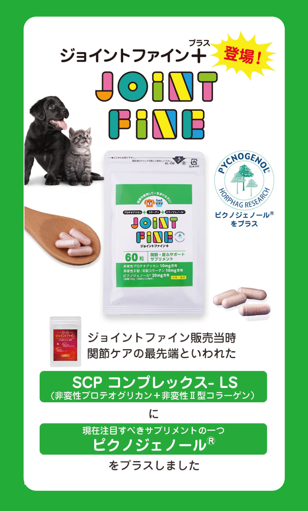 従来のジョイントファインに「ピクノジェノール」をプラスした「ジョイントファイン+(プラス)」新発売!