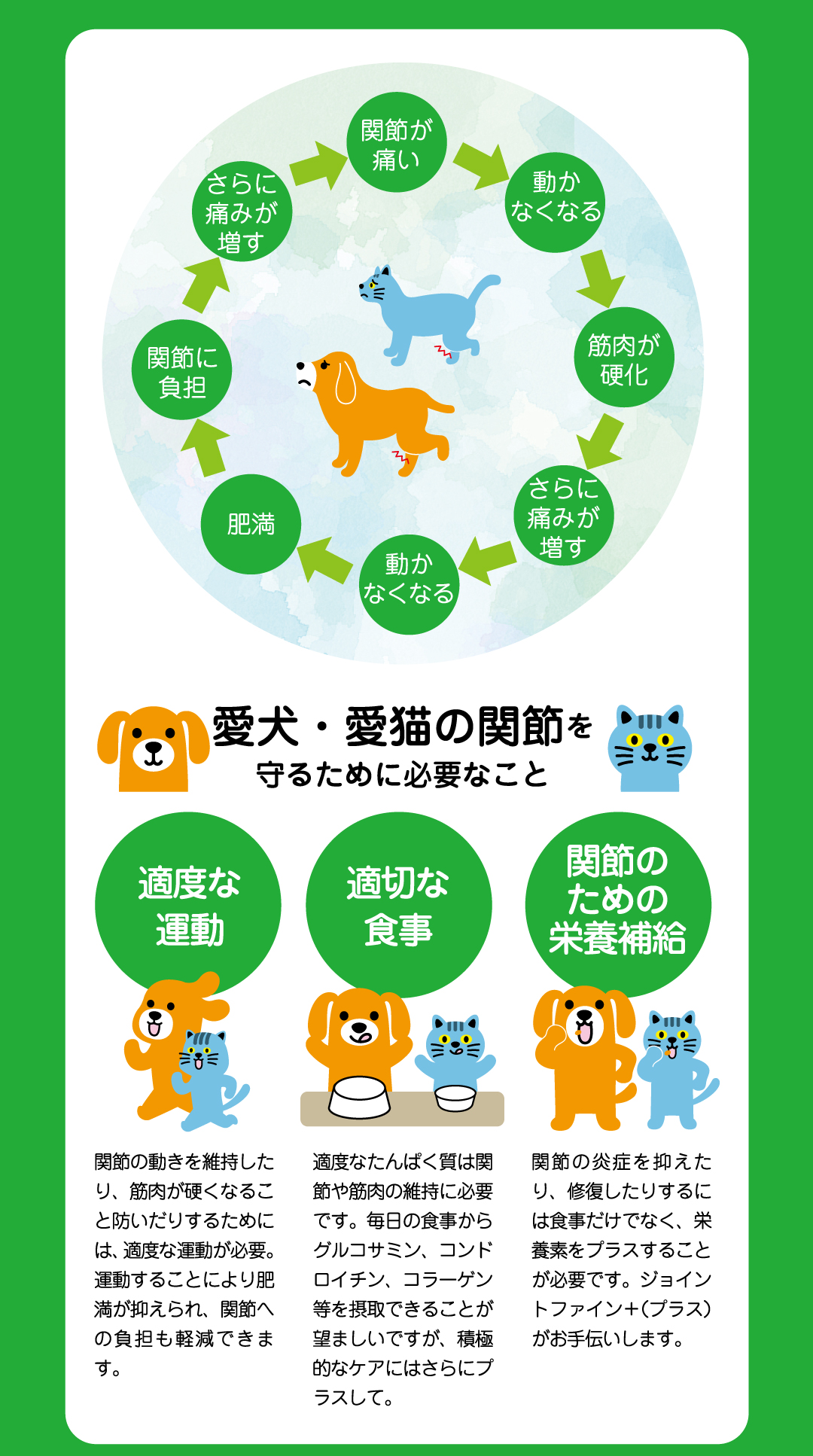愛犬・愛猫の関節を守るために必要なことは「適度な運動」「適切な食事」「関節のための栄養補給」の3つです